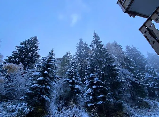 Appartement Au Pied Des Pistes Et Commerces - 5 Personnes